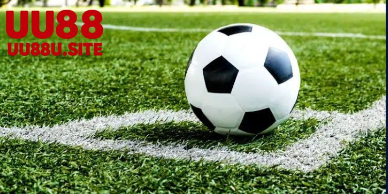 Kèo châu á - Cách Đặt Cược Thông Minh và Hiệu Quả 6 Chiến lược cá cược kèo châu á hiệu quả